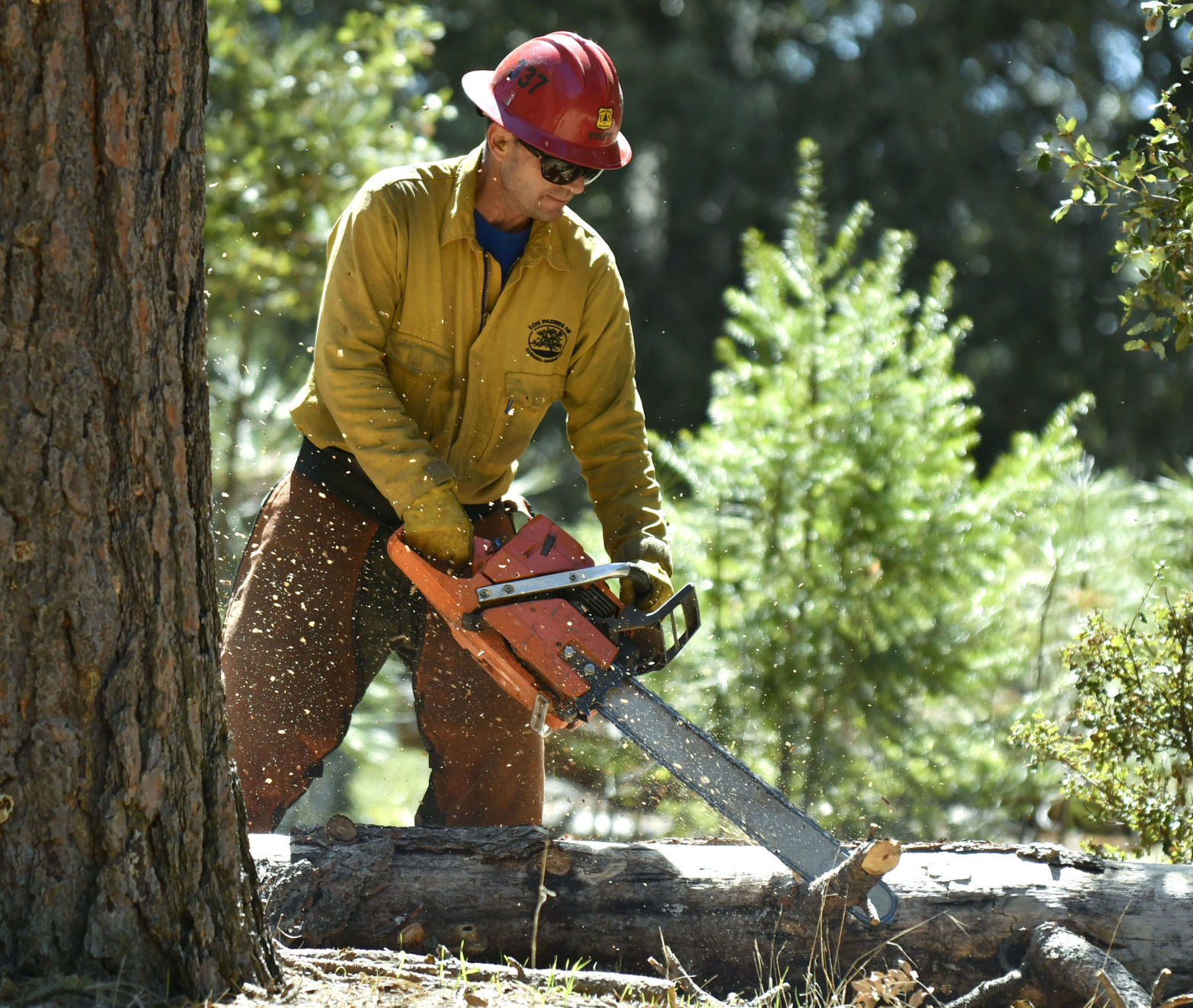 032818 Prescribed burn 03.jpg